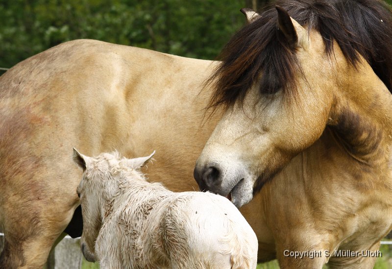 Hjoerdis 25 Min alt (5).JPG